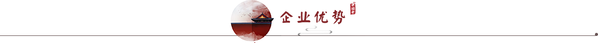 企业优势 企业优势